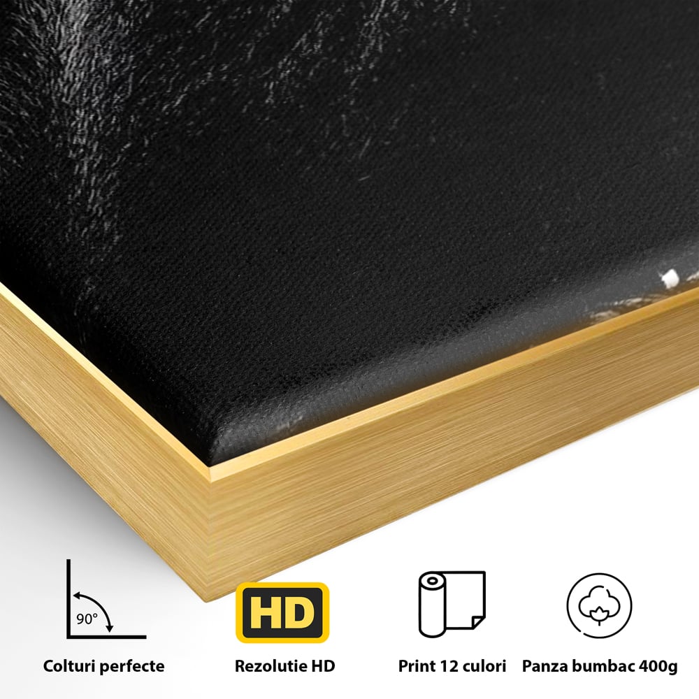 Detaliu al suprafetei: tablou canvas cu gorila furioasa, in rama de aluminiu auriu